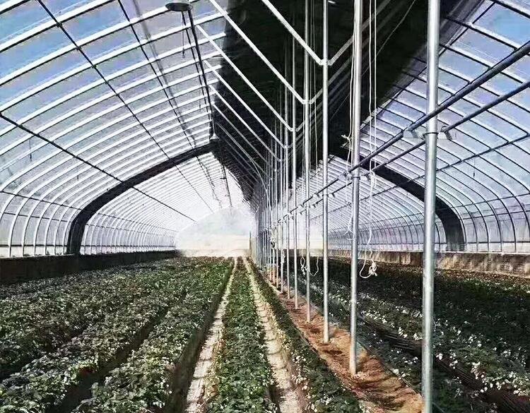 africa strong greenhouse 