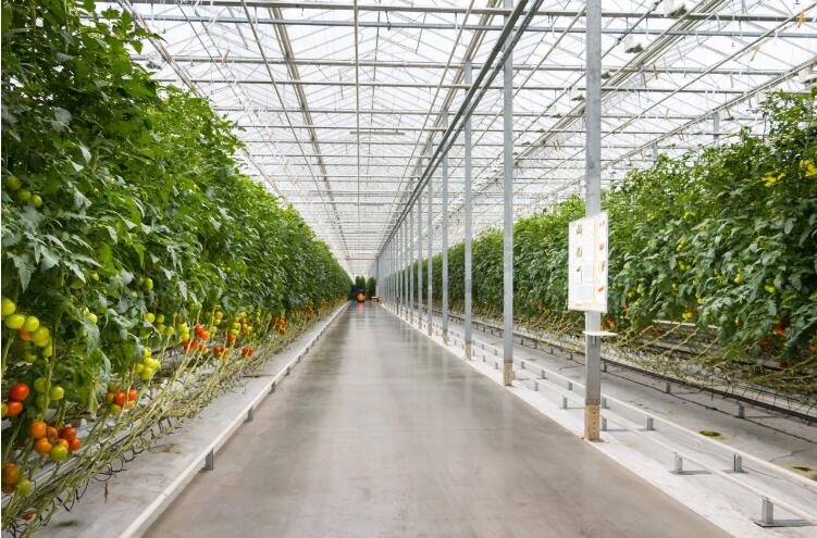 good quality green house