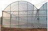 PVC plastic green house
